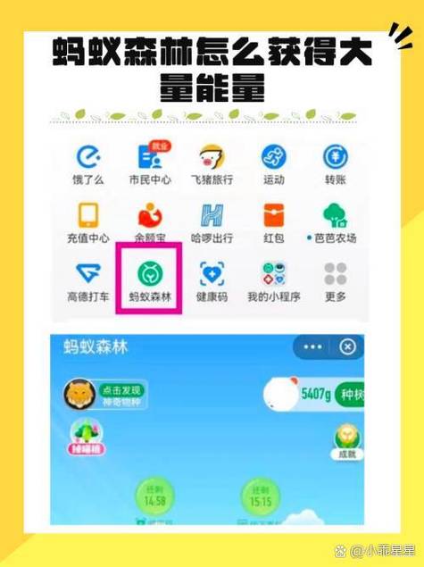钉钉怎么获得蚂蚁森林能量缩略图