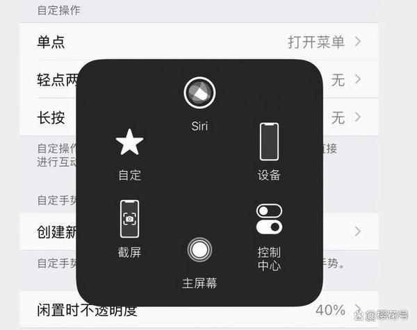 ipad2019如何打开悬浮球缩略图