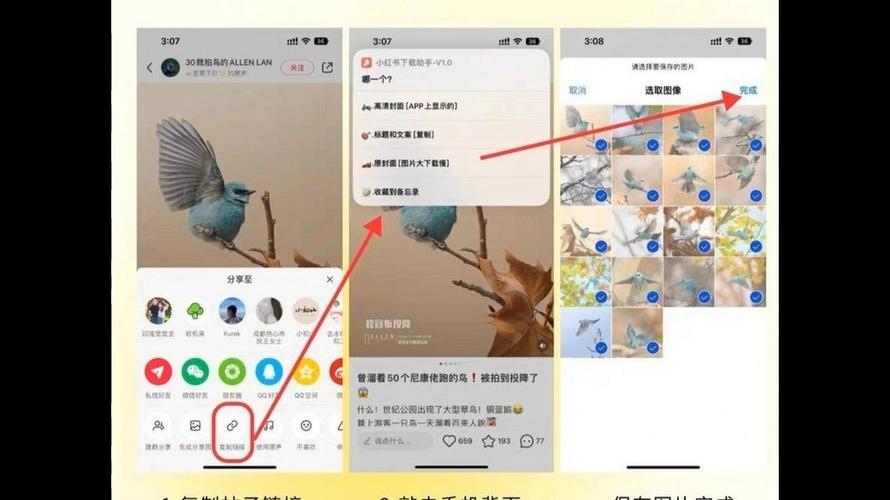 小红书上的图片怎么下载原图啊缩略图