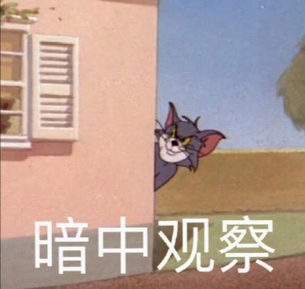 汤姆猫暗中观察表情包游戏截图