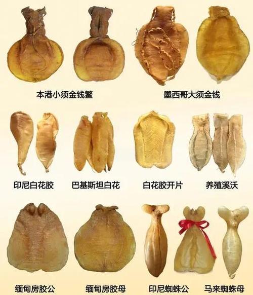 干鱼胶放冷藏三年还能吃吗缩略图