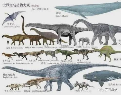 世界最大的十大恐龙缩略图