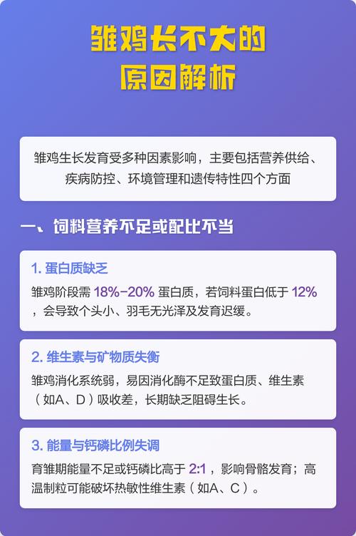 小鸡长不大是什么原因缩略图