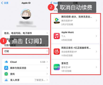 怎么把苹果付费的项目取消掉缩略图