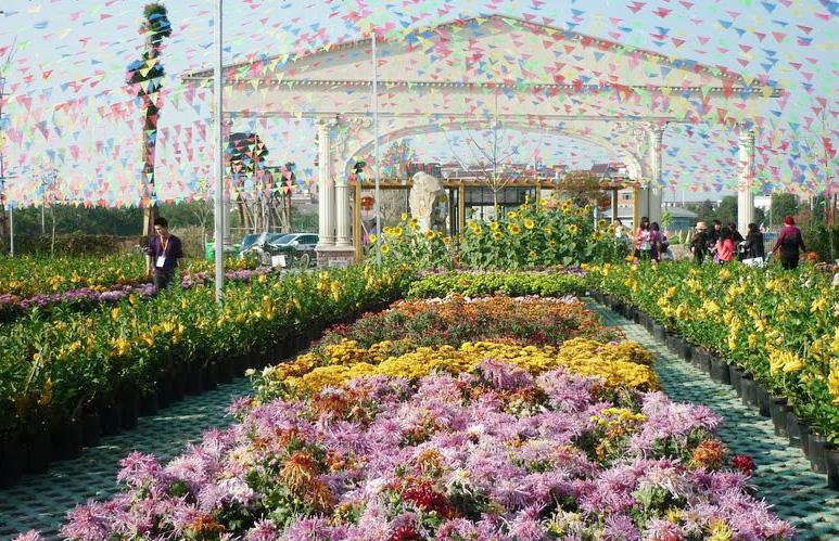 下载花草乐园游戏截图