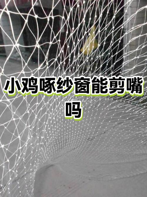 小鸡剪嘴是什么原因游戏截图