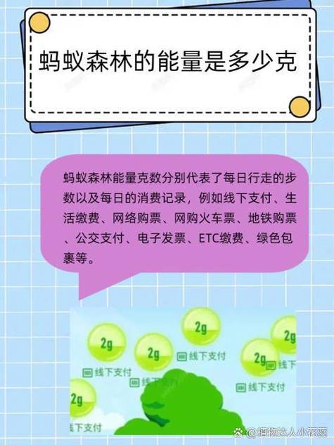 蚂蚁森林钉钉打卡多少能量缩略图