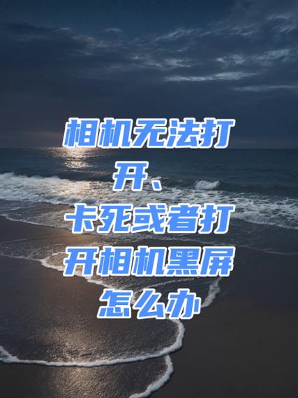 手机相机功能突然没有了怎么办缩略图