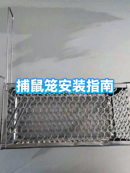 网上买的笼子怎么安装游戏截图