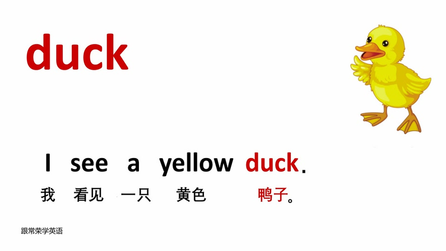 鸭子的英语念什么游戏截图