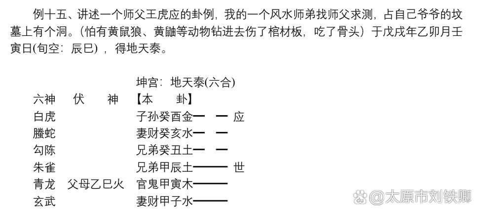 民间盲派六爻断卦精髓缩略图