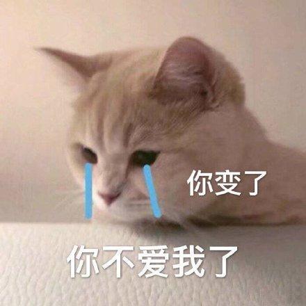 我不喜欢你了表情包游戏截图