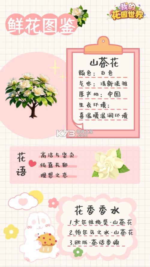 我的花园世界怎么下载两个APP缩略图