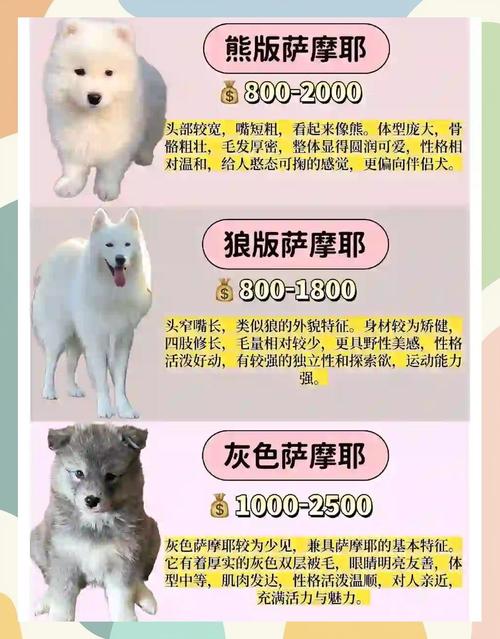 狗狗币今日最新行情缩略图