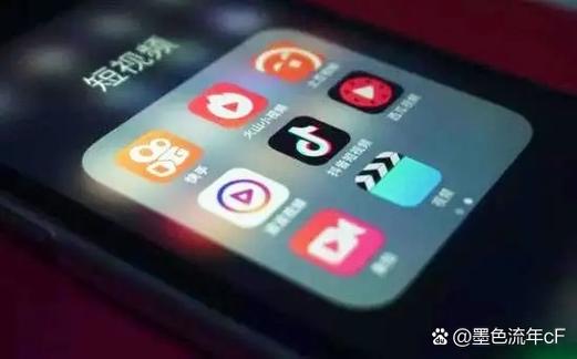 抖音短视频精简版软件介绍缩略图